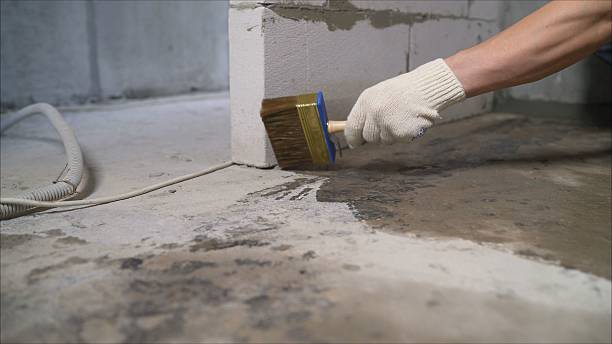 24/7 Emergency Wet Basement Repair experts in Silverdale, WA